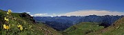 13 Pulsatilla alpina sulphurea (Anemone sulfureo) con vista panoramica sui Piani dell'Avaro ed oltre